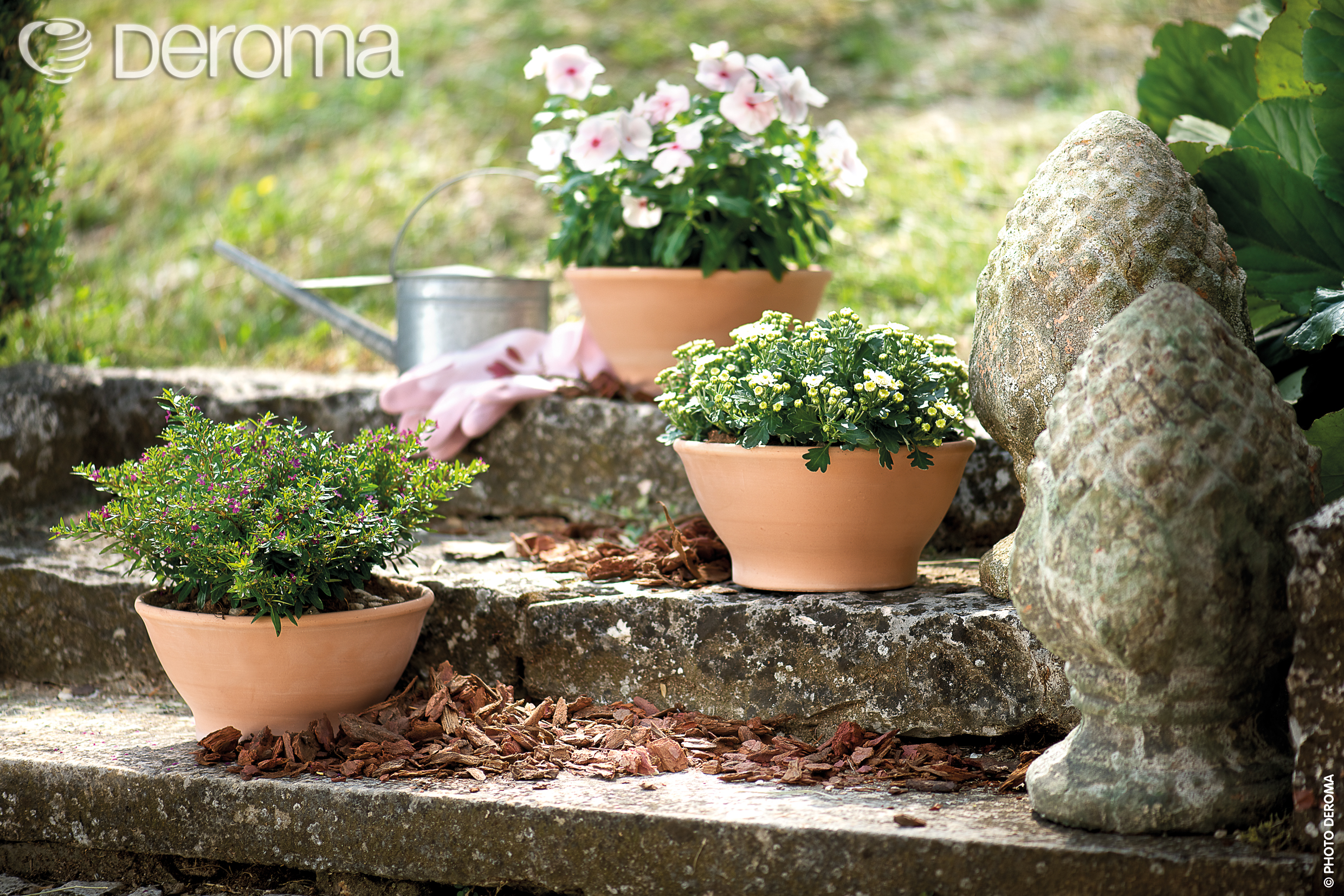 һ�������������ġ������ȡ�������ǧ����ϲ����������ʵ��ʲôħ������