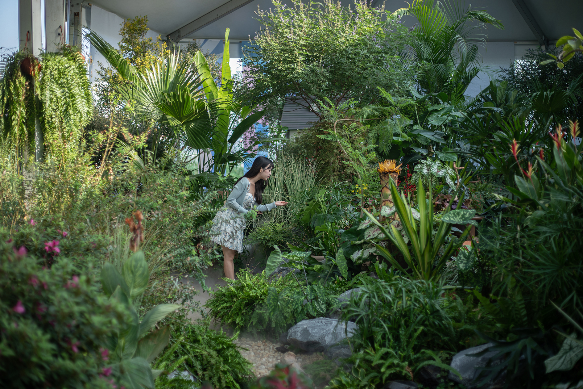 ���������»�԰��������人�ֻ᳡