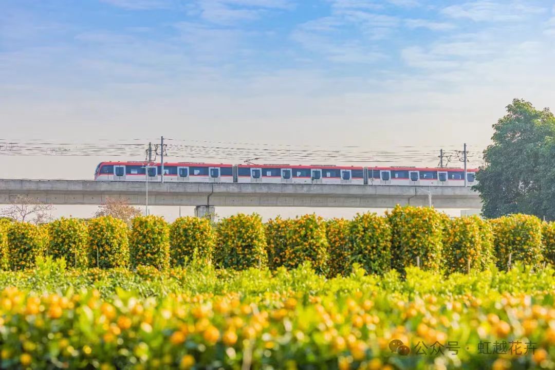 3�������»�չ������԰�մ����������Ư�������·���