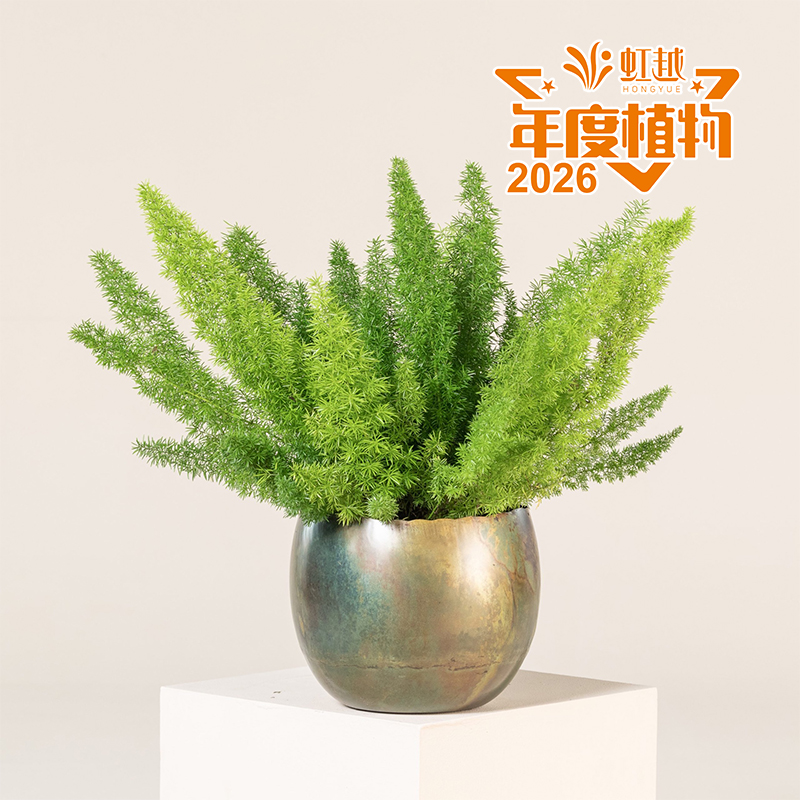 9001cc��ɳ�Գ�Ϊ��?��β���Ŷ���÷����