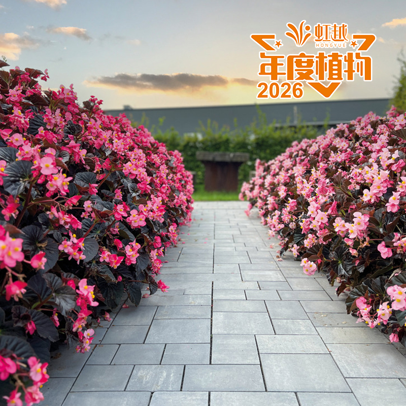 9001cc��ɳ�Գ�Ϊ��?�ﺣ�ġ���ʯ��