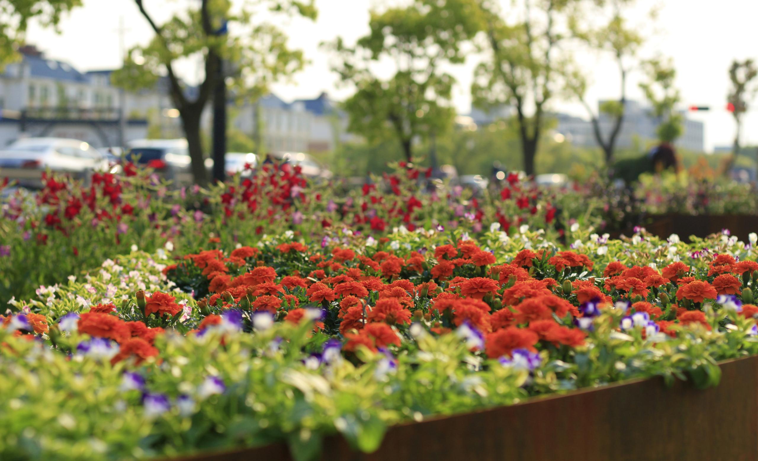 1615277733698654.jpg 1615277733698654.jpg