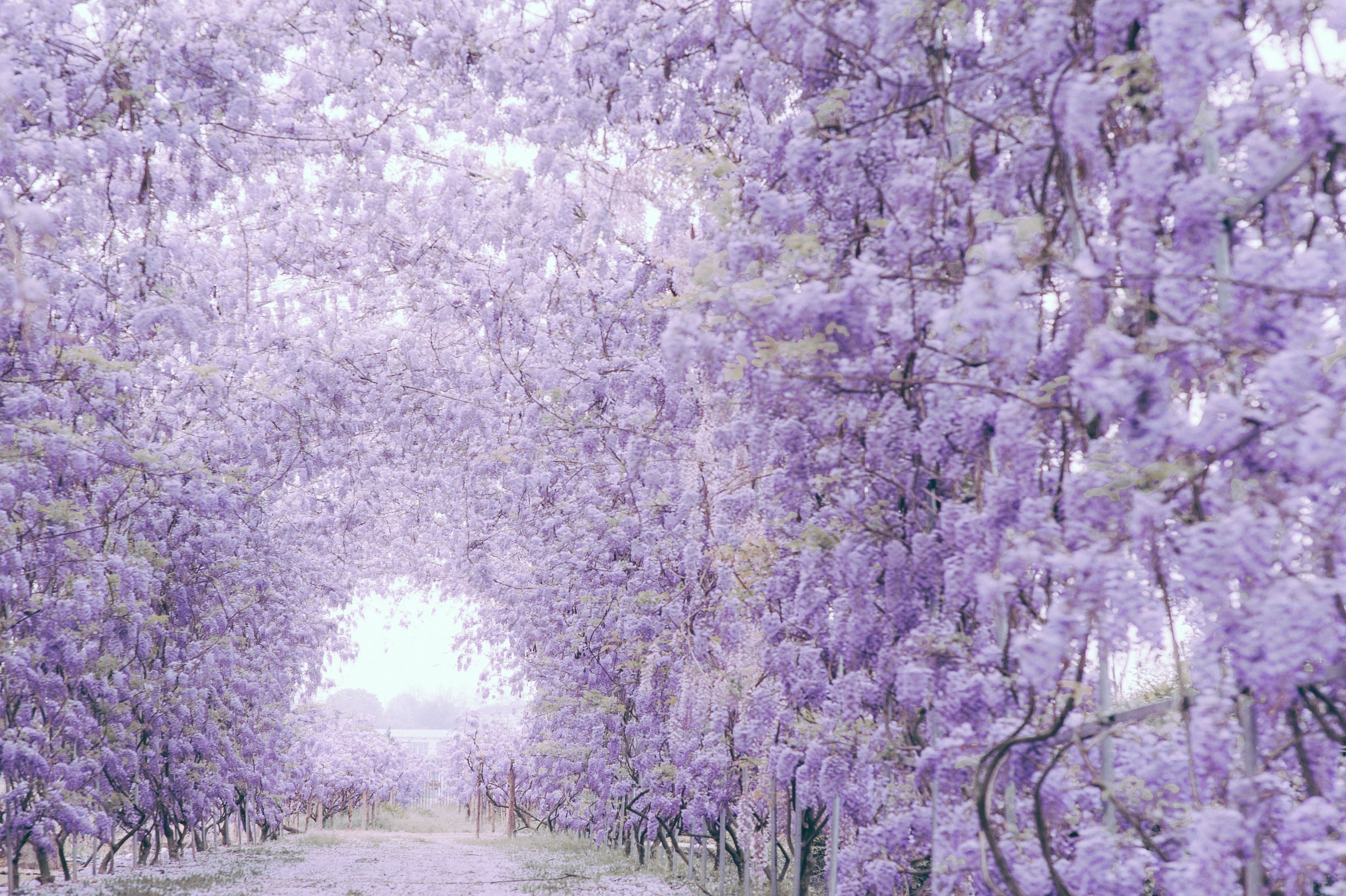 2018���� (3) - ����.jpg