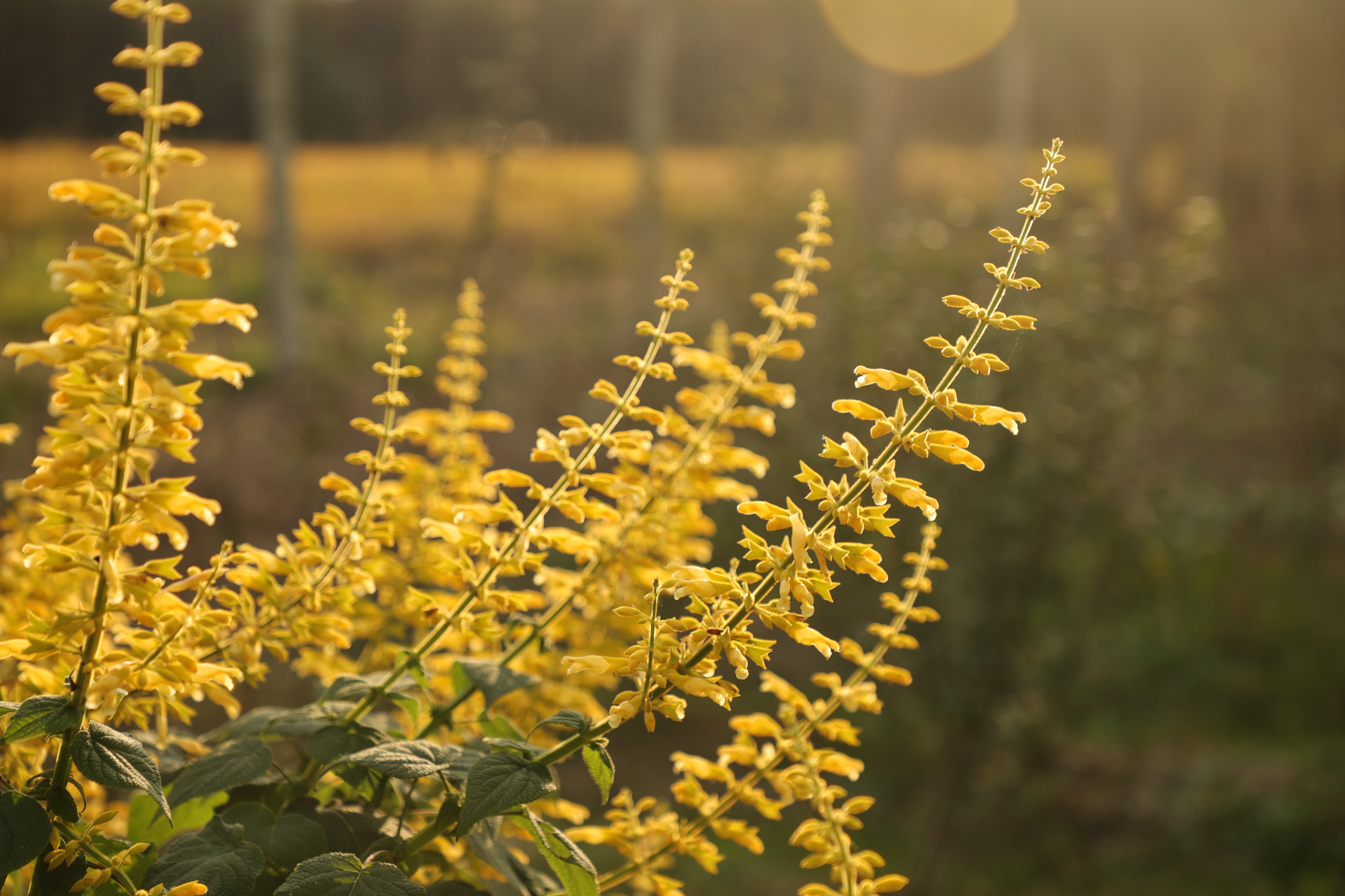 28��β�����ۻƽ� (2).jpg