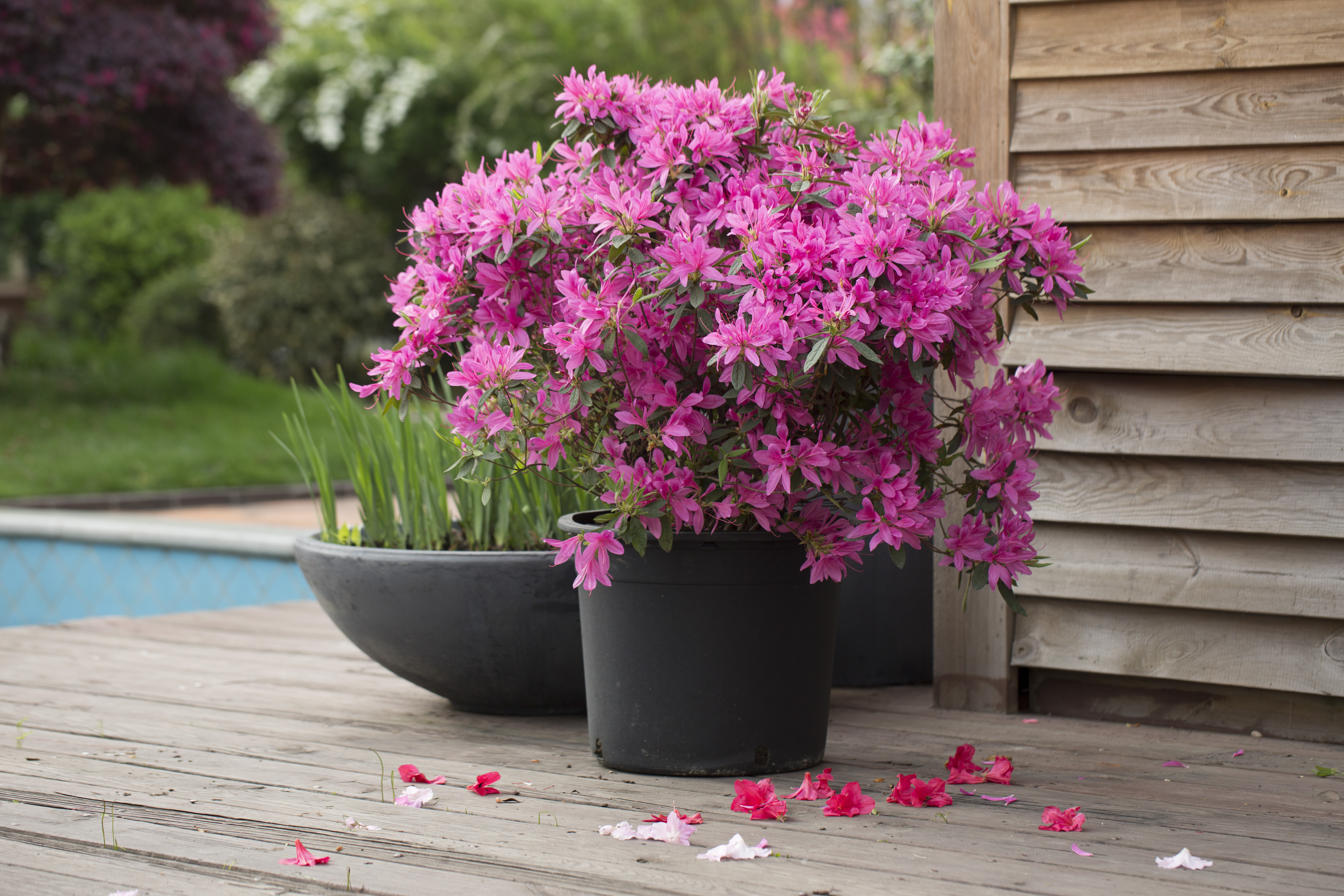 1663316541937506.jpg 1663316541937506.jpg